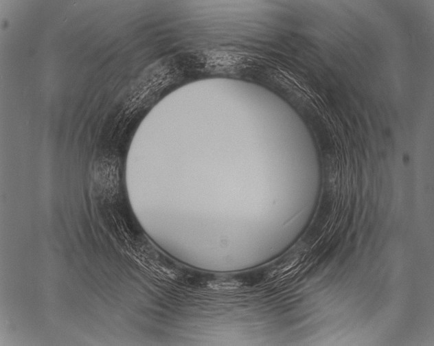 X0000057090603200509301553