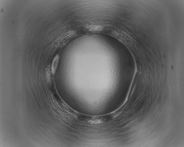 X0000057090604200509301553