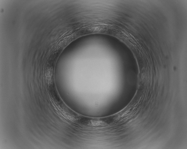 X0000057090605200509301553