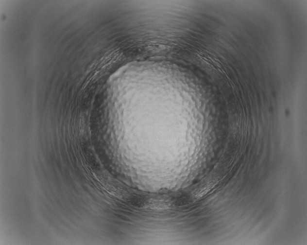 X0000057090606200509301553