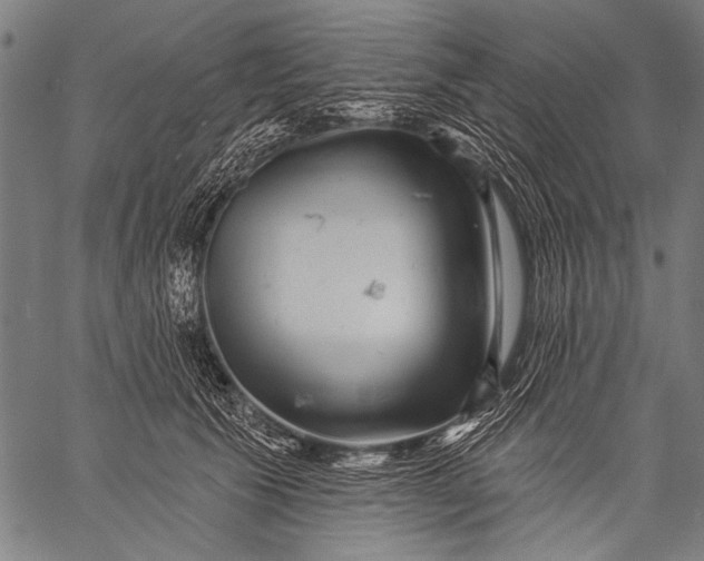 X0000057090609200509301553