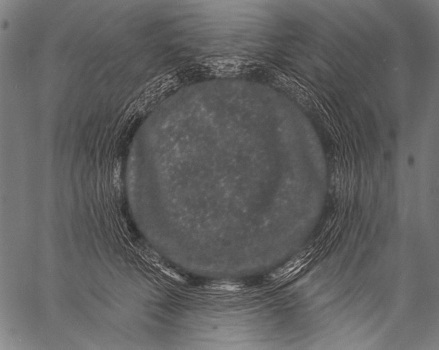 X0000057090610200509301553