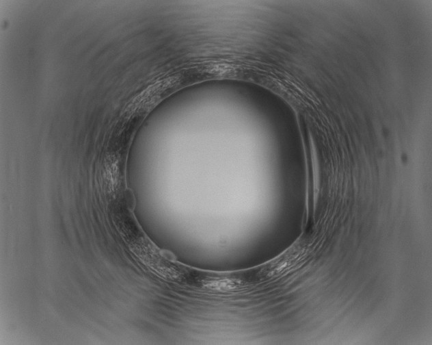 X0000057090611200509301553