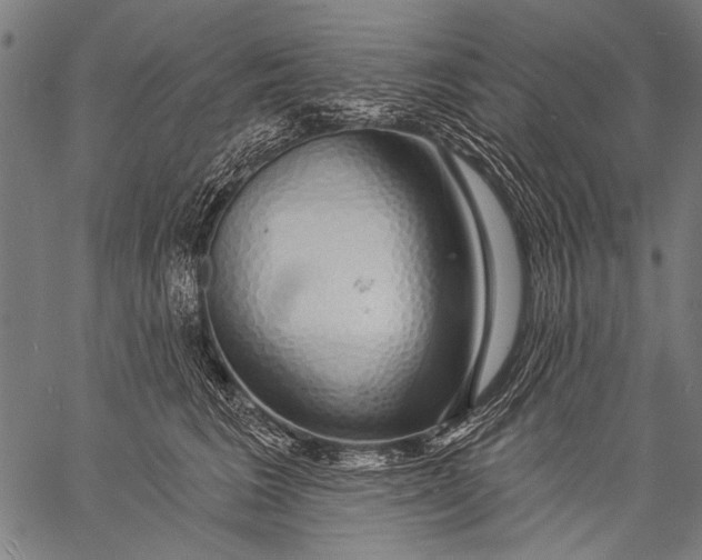 X0000057090613200509301553