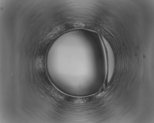 X0000057090616200509301552