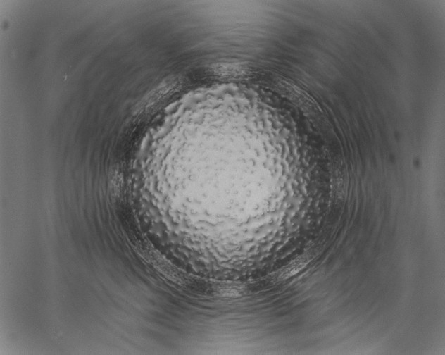 X0000057090618200509301552