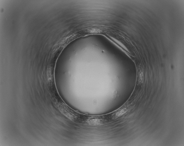 X0000057090620200509301552