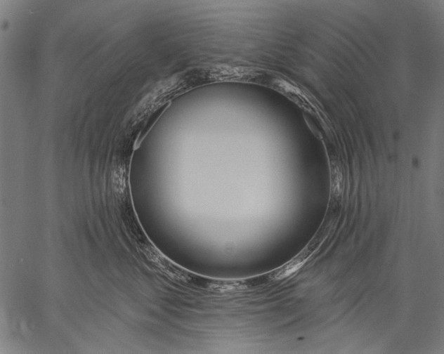 X0000057090621200509301552