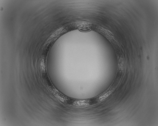 X0000057090622200509301552