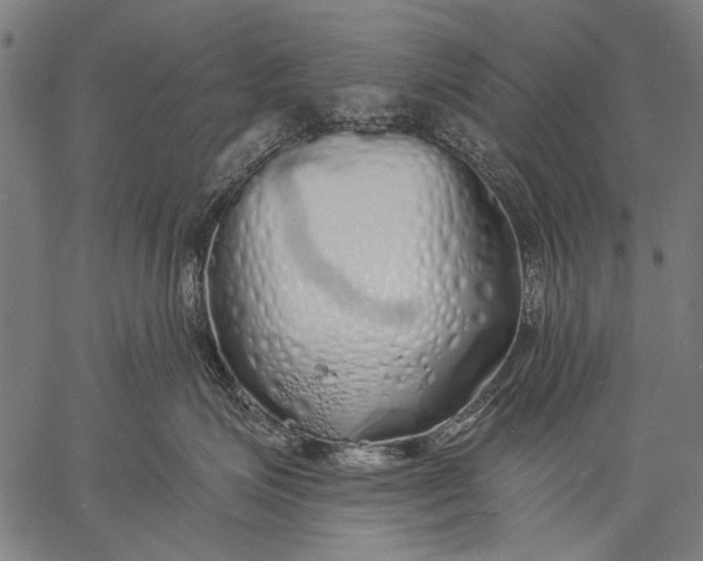 X0000057090623200509301552