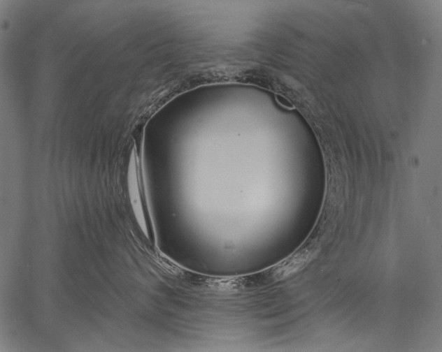 X0000057090624200509301552