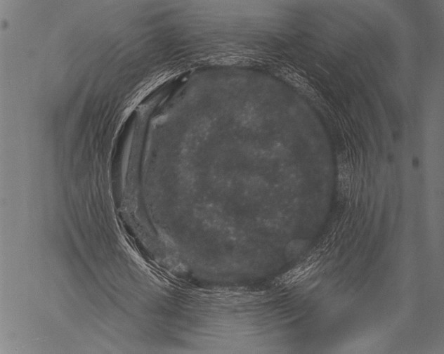 X0000057090626200509301552