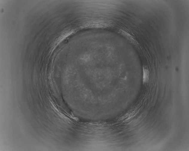 X0000057090627200509301552