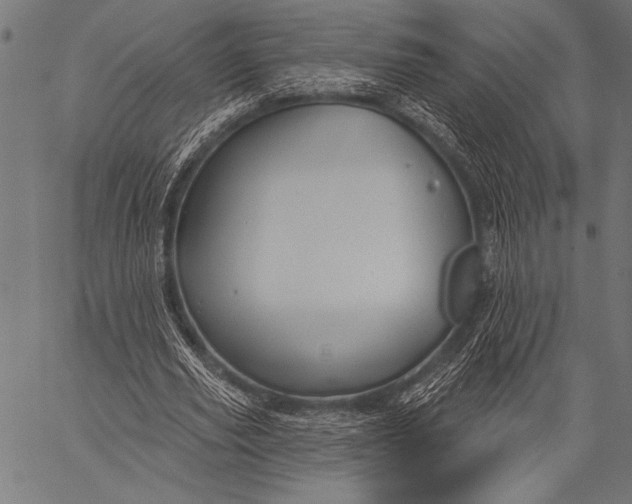 X0000057090629200509301552