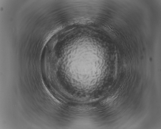 X0000057090630200509301552