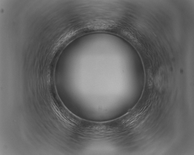 X0000057090631200509301552