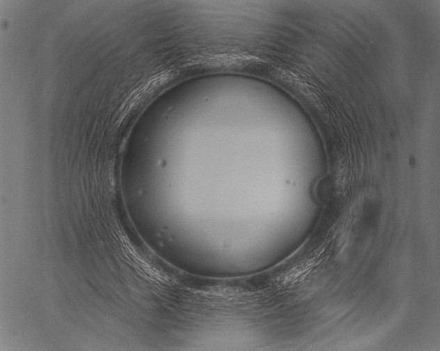 X0000057090633200509301552