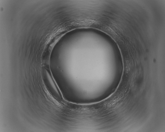 X0000057090634200509301552