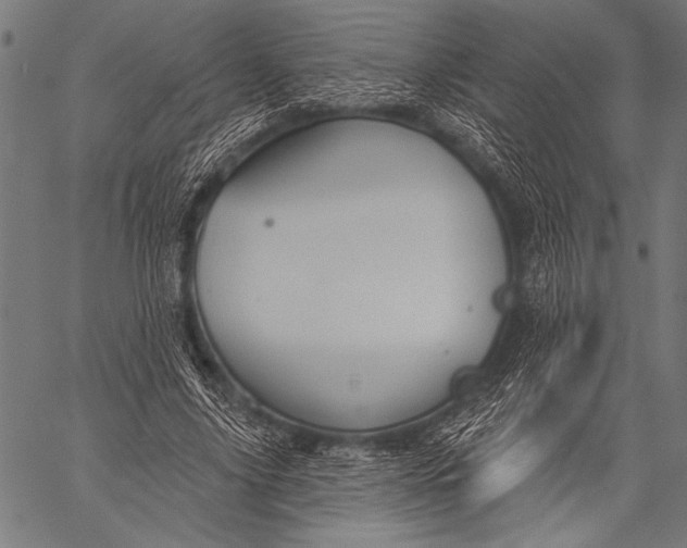 X0000057090635200509301552