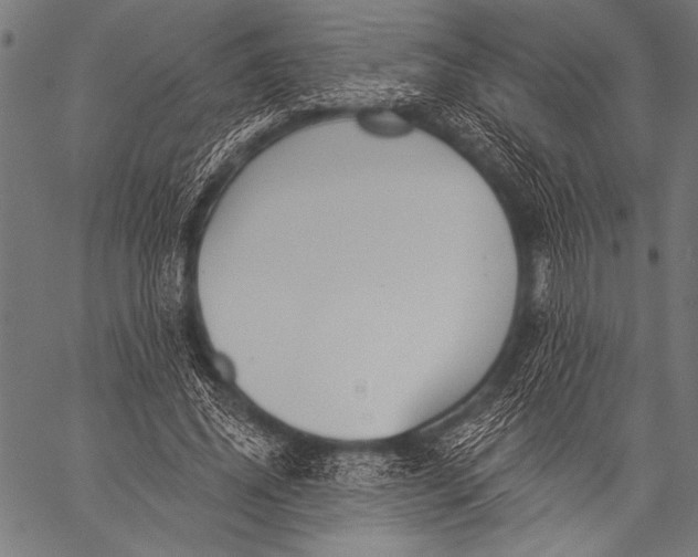 X0000057090636200509301552