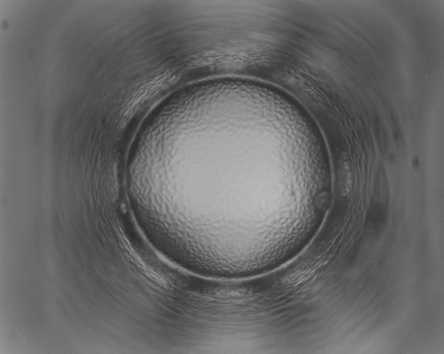 X0000057090638200509301552