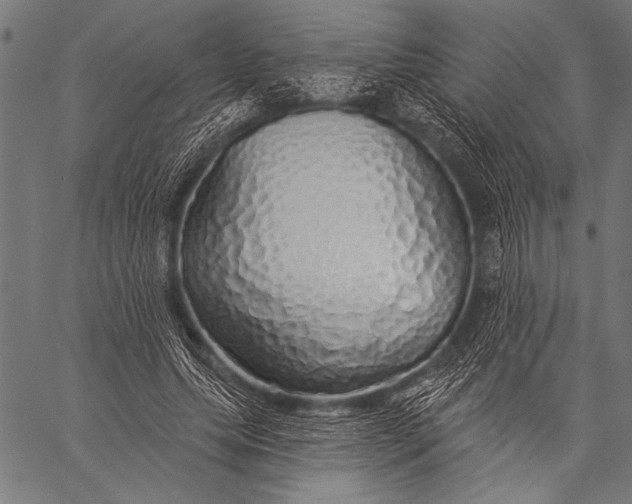 X0000057090639200509301552