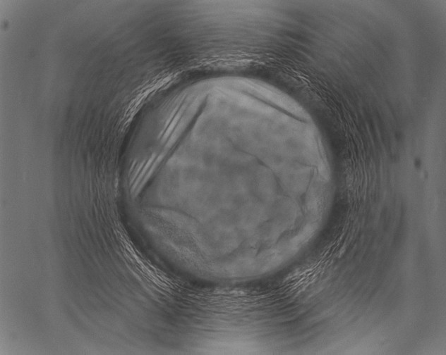 X0000057090640200509301552