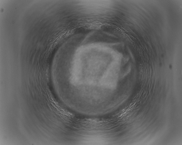 X0000057090641200509301552