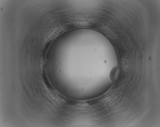 X0000057090642200509301552