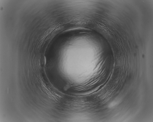 X0000057090643200509301552