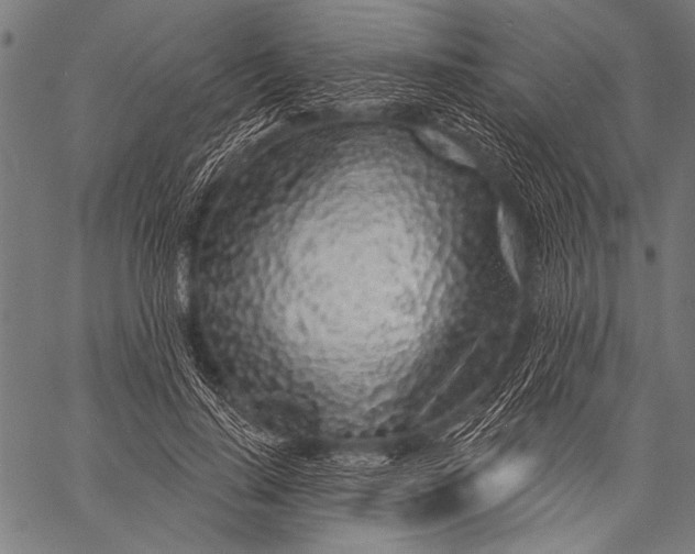 X0000057090644200509301552