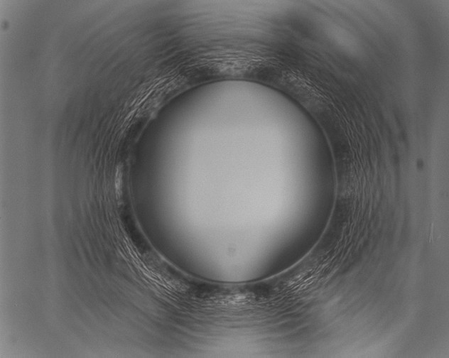 X0000057090646200509301552