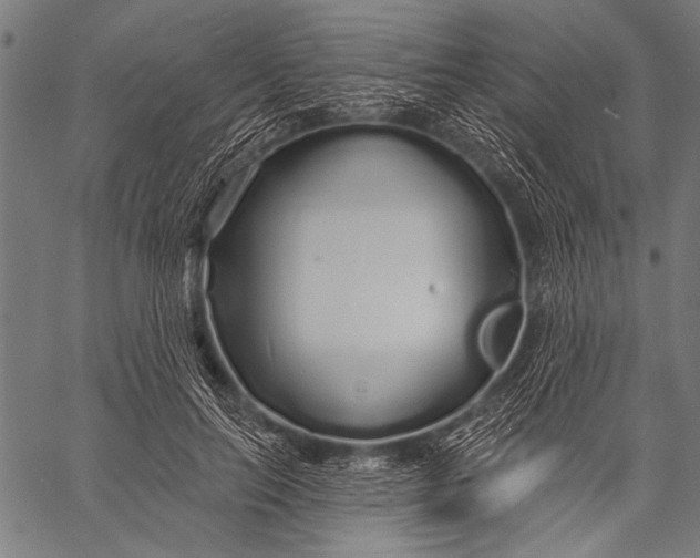 X0000057090647200509301552