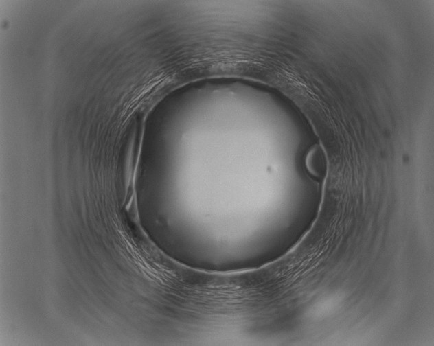 X0000057090648200509301552