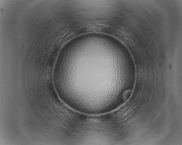 X0000057090649200509301552