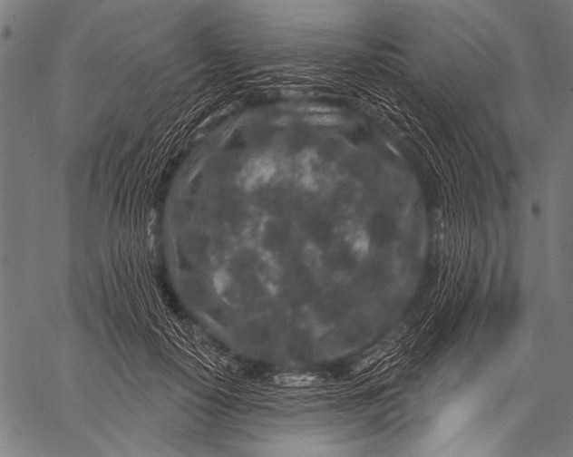 X0000057090650200509301552