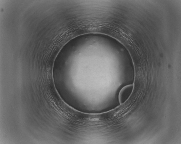 X0000057090651200509301552