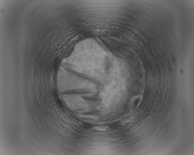 X0000057090654200509301552