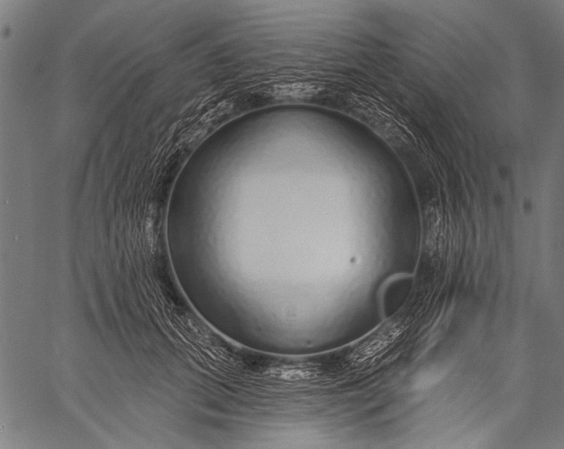 X0000057090655200509301552