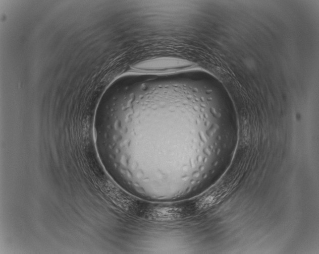 X0000057090657200509301552