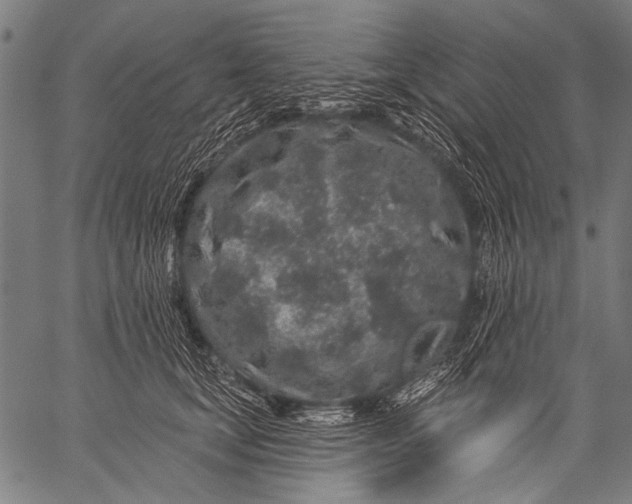 X0000057090659200509301552