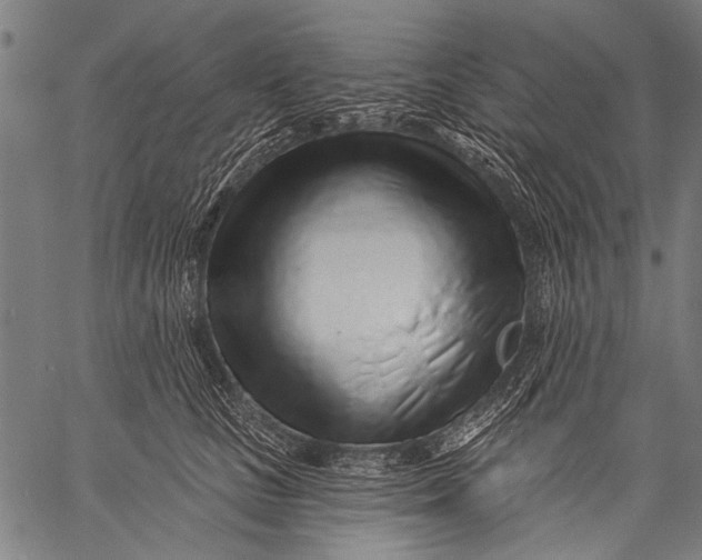 X0000057090661200509301552