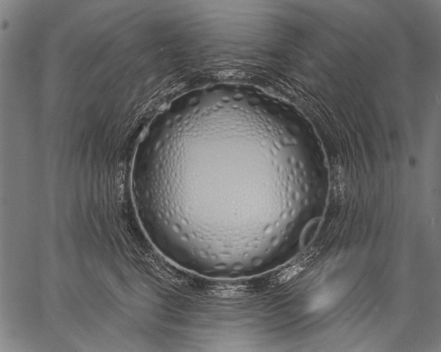 X0000057090664200509301552