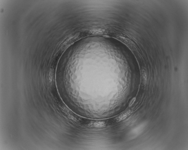 X0000057090665200509301552