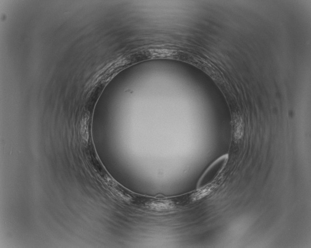 X0000057090666200509301552