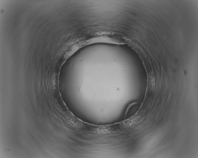 X0000057090668200509301552