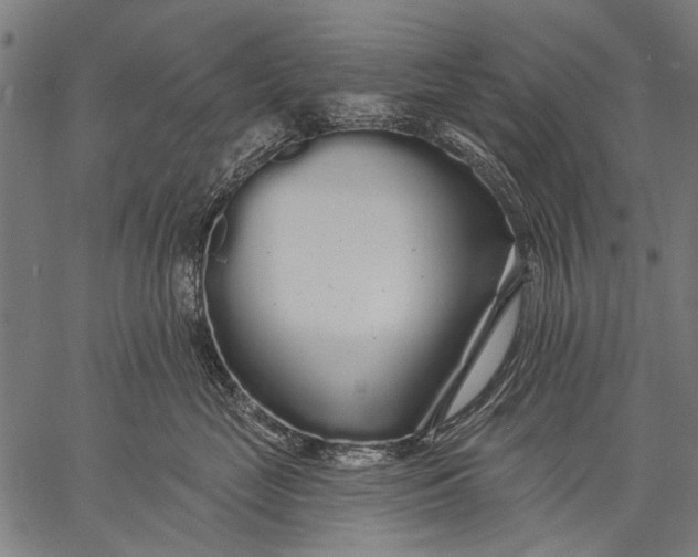 X0000057090669200509301552