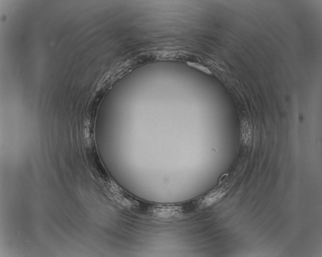 X0000057090670200509301552