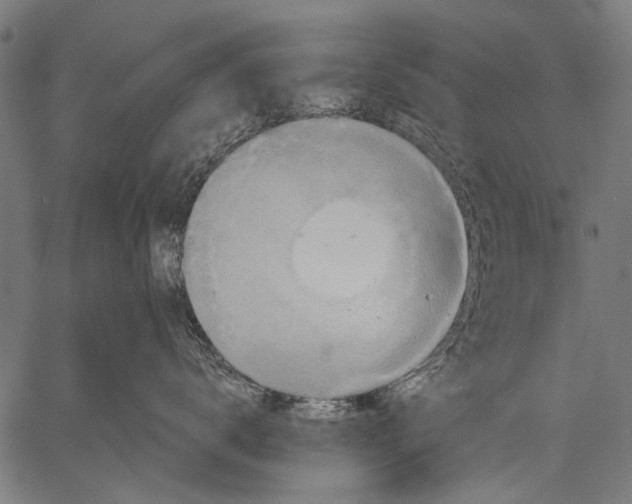 X0000057090672200509301552