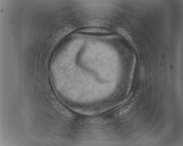 X0000057090673200509301552